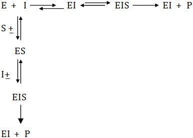 non competitive inhibition